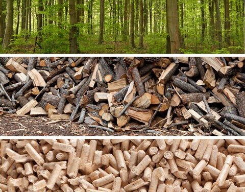 Stále se vyplatí topit dřevem? Oproti loňsku už teď zdražuje o 67 procent, je nejdražší za více než deset let – a to je jenom začátek