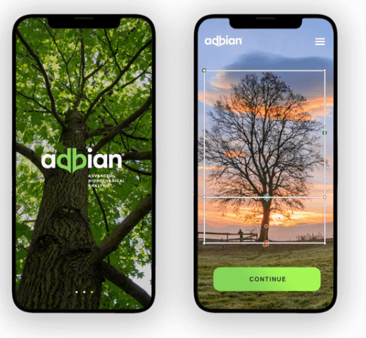 IT vstupuje i do péče o stromy, software AdBiAn vytváří jejich 3D model