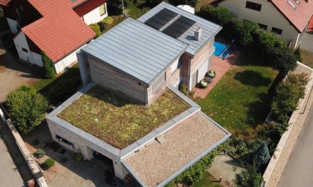 Zájem o vegetační střechy prudce roste. Vrací vodu do přirozeného koloběhu