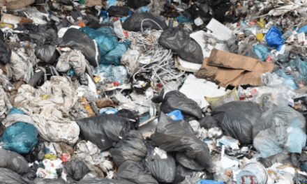 Odpadové hospodářství v ČR: miliardové dotace změnu nepřinesly, skládkování stále hraje zásadní roli