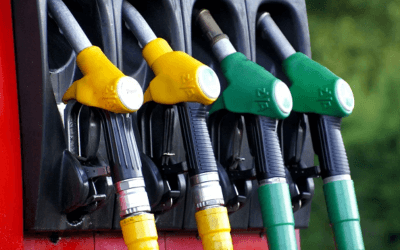 Loňské cenové šílenství opět posílilo zájem o plošné ceny paliv. Firmy i živnostníci ušetřili průměrně 2 Kč/l