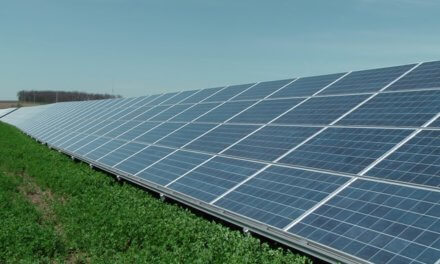 Solární elektrárny ČEZ za 10 let uspořily 822 tisíc tun uhlí a 875 tisíc tun CO2. Emise pomáhají šetřit i střešní instalace od ČEZ Prodej a ČEZ ESCO