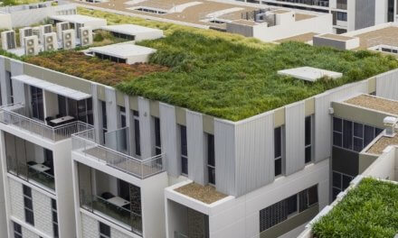 V horkých letních dnech je zelená střecha doslova ekologickou klimatizací pro celou budovu