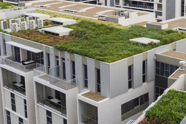 V horkých letních dnech je zelená střecha doslova ekologickou klimatizací pro celou budovu