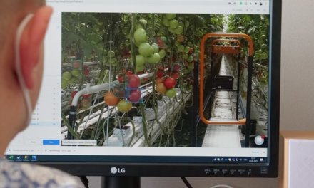 BERABOT: Robotizace a virtuální realita v českém zemědělství. Unikátní monitorovací systém rostlin detekuje škůdce a předpovídá sklizeň