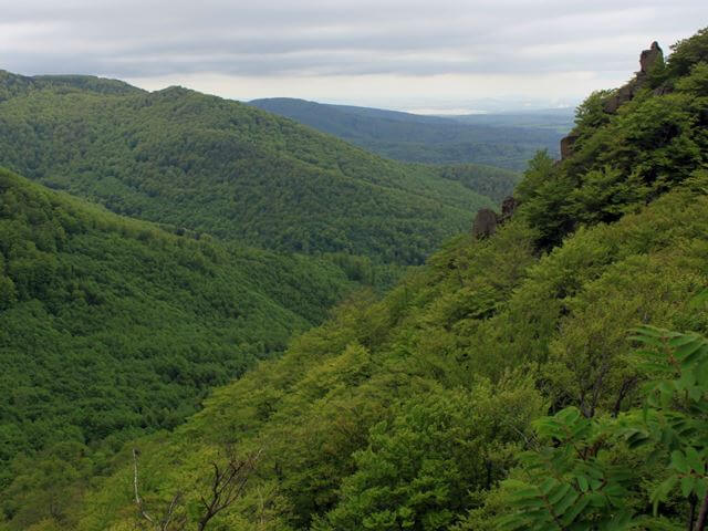 Jizerskohorské bučiny jsou naší první přírodní lokalitou světového dědictví UNESCO