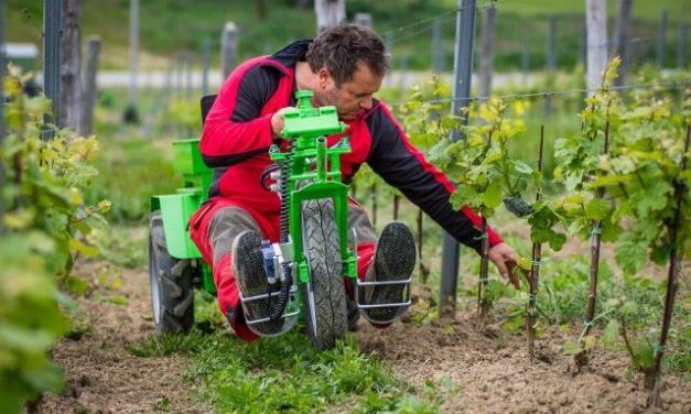 Mechanizace proniká i do vinic, vyspělé vinohradnické země postupně doháníme