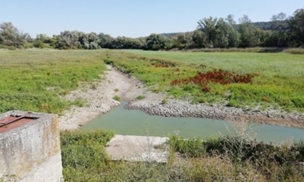 Kvalita vody v rybnících se zhoršuje, paradoxně i díky čistírnám odpadních vod