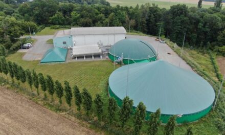 Recyklace bioodpadu by zajistila energii pro téměř 70 tisíc českých domácností na celý rok. Zabývá se jí skupina EFG