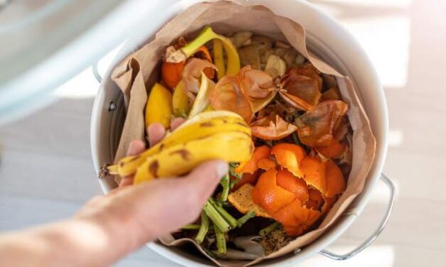 Přes 300 stravovacích provozů na Moravě a ve Slezsku separuje kuchyňský odpad se službou „Třídím gastro“