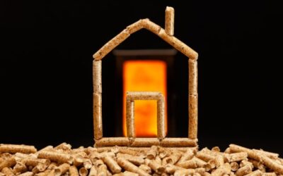 Češi našli jistotu ve vytápění dřevem. Roste výroba i spotřeba dřevních paliv