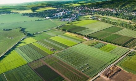 Klimatická změna stírá rozdíly mezi výnosy v ekologickém a konvenčním zemědělství