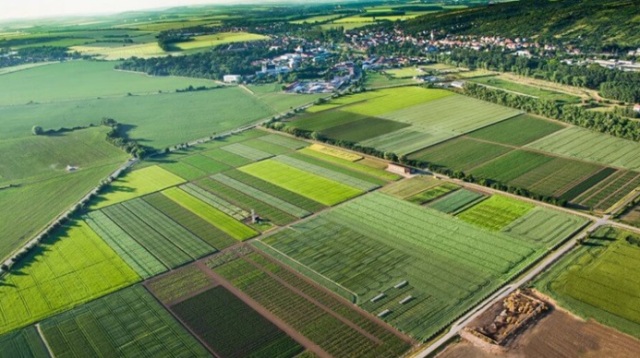 Klimatická změna stírá rozdíly mezi výnosy v ekologickém a konvenčním zemědělství