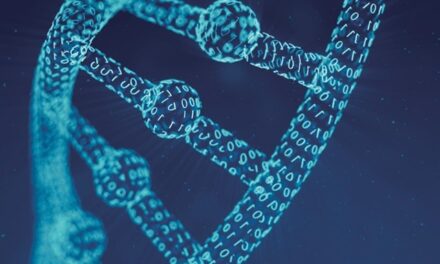 Česko je digitálně silné, ale naráží na limity sítí a energetiky, ukazuje globální index