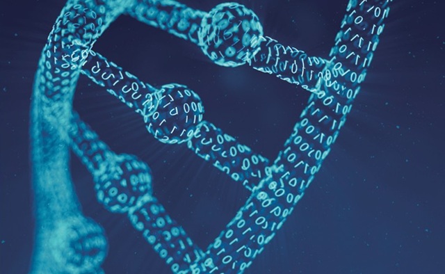 Česko je digitálně silné, ale naráží na limity sítí a energetiky, ukazuje globální index