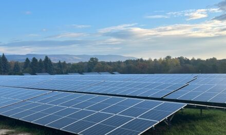 Školy, podniky, domácnosti: ČEZ Distribuce připojila do sítě za první pololetí 14 425 nových odběrných míst a 5981 fotovoltaických elektráren